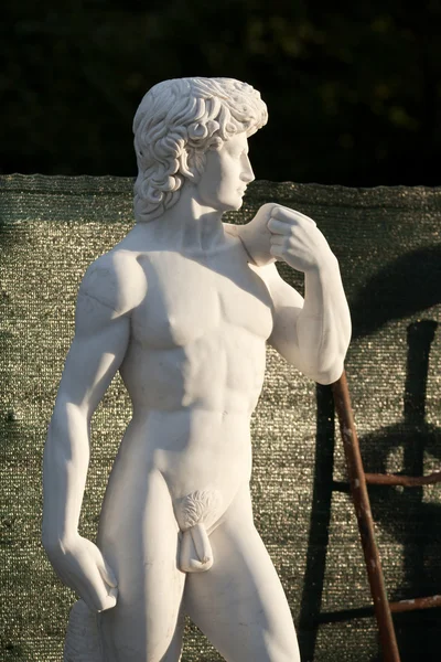 Копия статуи Давида — стоковое фото
