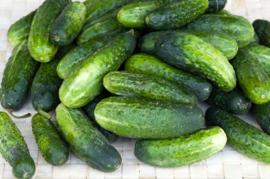 Fresh green cucumber clipart