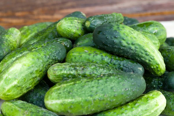 Fresh green cucumber — Stock Photo, Image