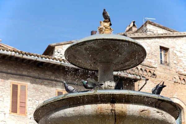 stock image Assisi fountain in the Main Square