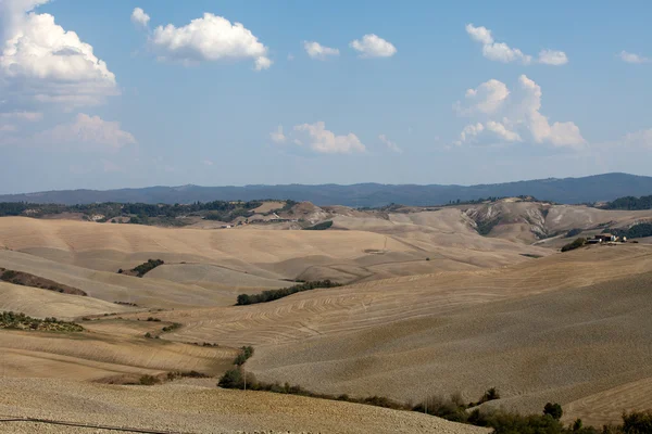 stock image Crete Senesi