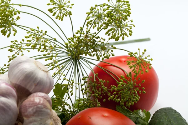Färska grönsaker på den vita bakgrunden — Stockfoto