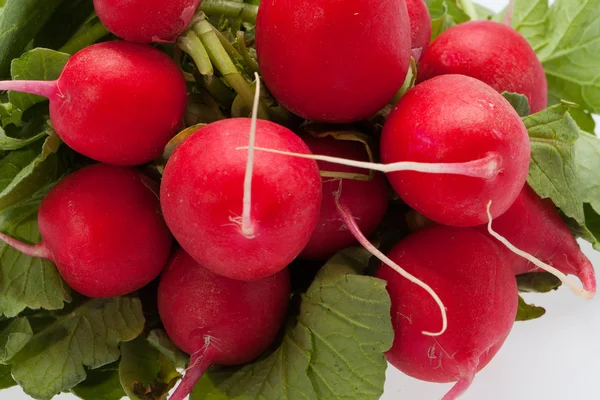 stock image Garden radish on white background