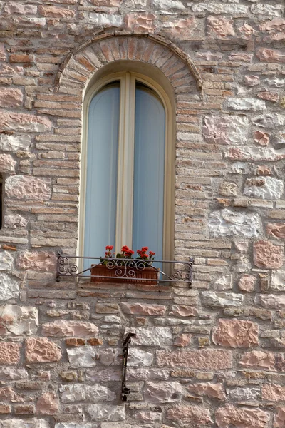 Квіти на старому тосканському вікні. — стокове фото