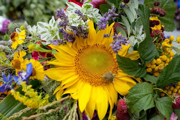 美しい花やハーブの花束 — ストック写真