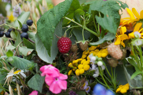 красивые букеты цветов и трав