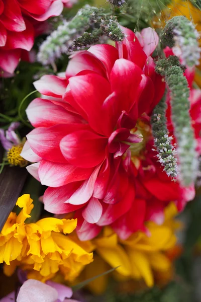꽃과 약초로 된 아름다운 꽃다발 — 스톡 사진