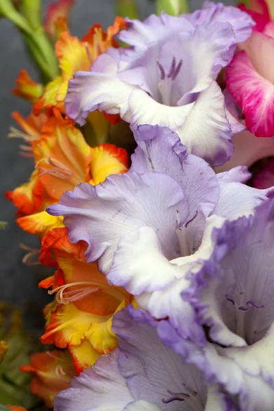 美丽的花束和香草 — 图库照片