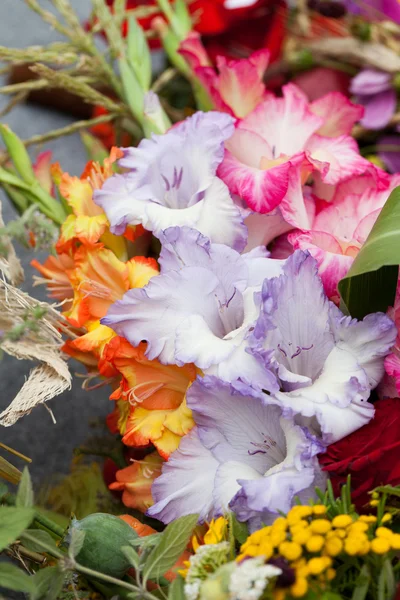 Colorful bouquet of gladioli — Stock Photo, Image