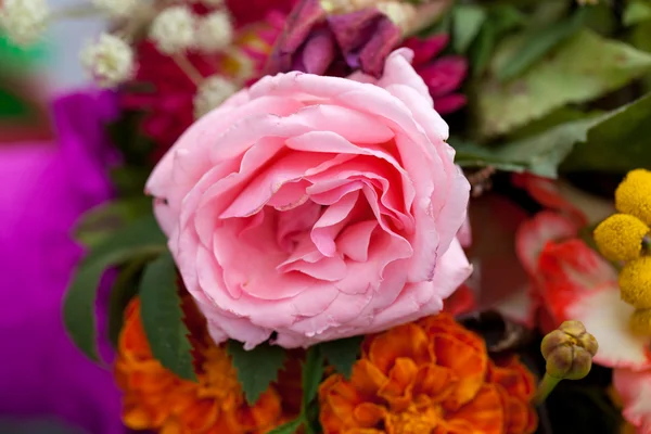 Krásné kytice květin a bylin — Stock fotografie