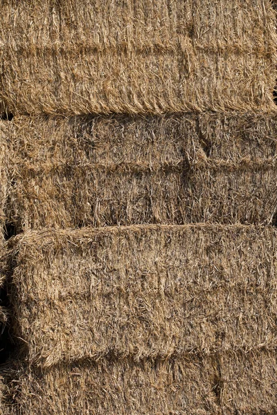 Close up of a straw bale — Stock Photo, Image