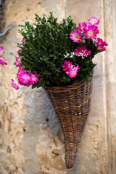Bouquet di petunie viola — Foto Stock