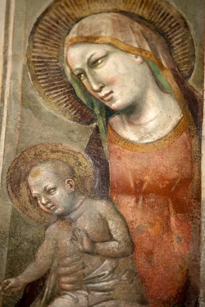 Florencie - Santa Croce: Fresky v kapli Baroncelli — Stock fotografie