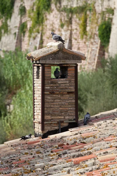 stock image The old roof tile and brick chimney