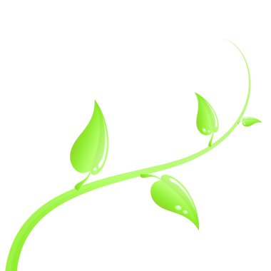 Green branch vector clipart