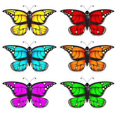 Butterflies clipart