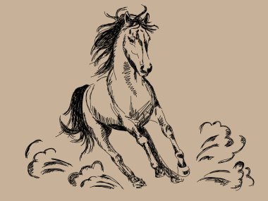 Hand drawn horse vector clipart