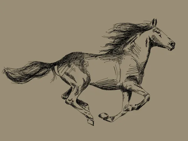 Vettore cavallo disegnato a mano — Vettoriale Stock