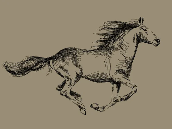 Wektor konia ciągniętego ręcznie — Wektor stockowy