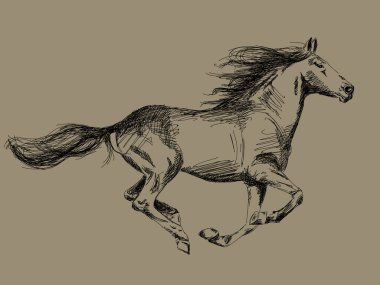 Hand drawn horse vector clipart