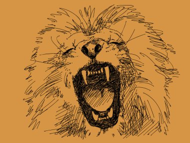 Hand drawn lion vector clipart