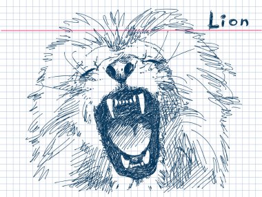 Hand drawn lion Vector clipart