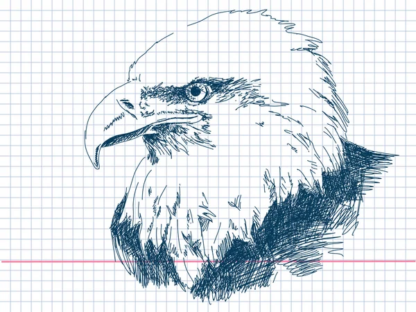 Vetor de águia desenhado à mão — Vetor de Stock