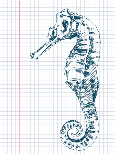 Hand drawn sea horse vector — Stock Vector