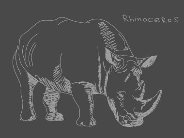 Hand drawn rhino Vector