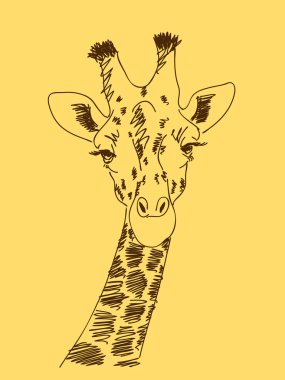 Hand drawn giraffe Vector clipart