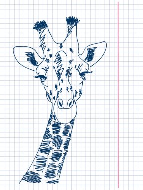 Hand drawn giraffe Vector clipart