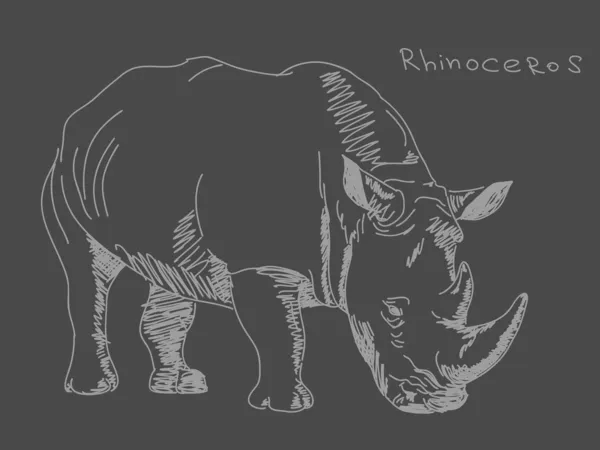 Ručně tažené nosorožec vektor — Stockový vektor