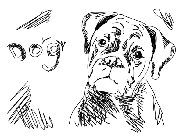 Handgezeichneter Hund — Stockvektor