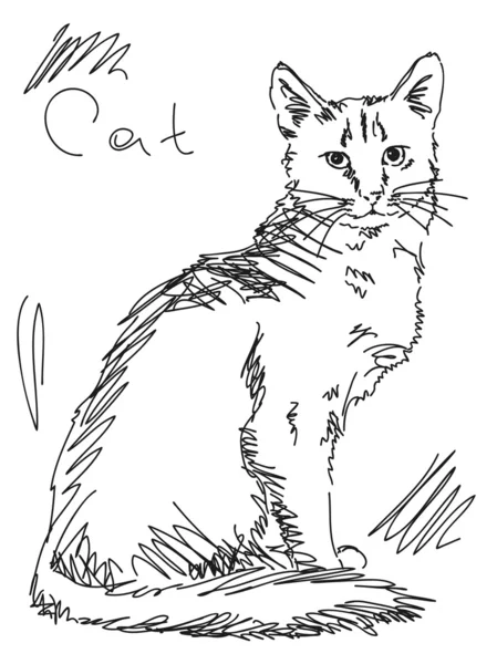 Gato dibujado a mano — Archivo Imágenes Vectoriales