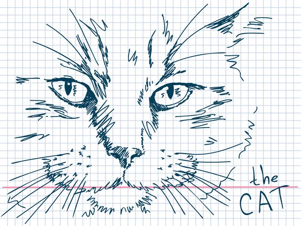 Ręcznie rysowane kot — Wektor stockowy