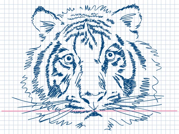 Tigre dibujado a mano — Archivo Imágenes Vectoriales