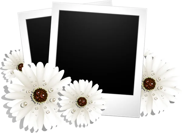 Two blank photos and flowers — Stock Vector