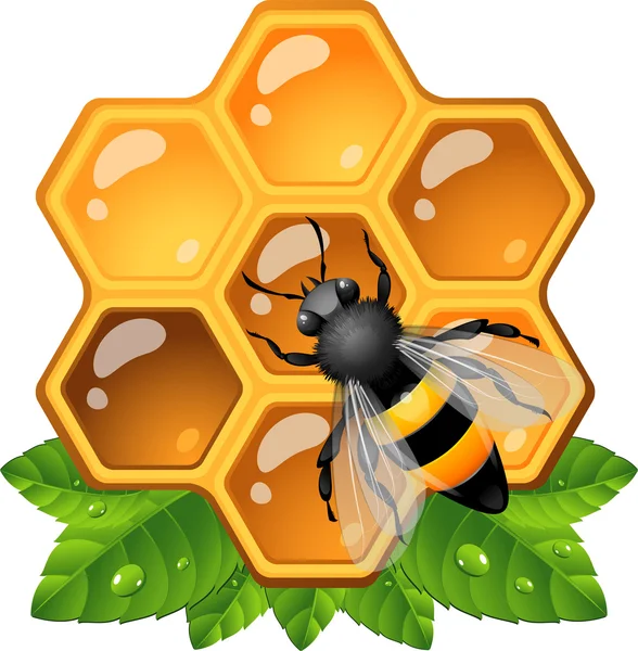 Biene auf Wabe — Stockvektor