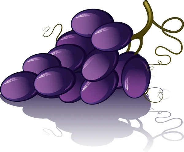 Grappolo d'uva — Vettoriale Stock