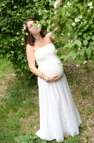Mujer embarazada de pie cerca de jazmín —  Fotos de Stock