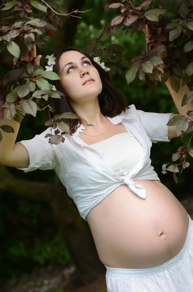 Mujer embarazada con jazmín — Foto de Stock