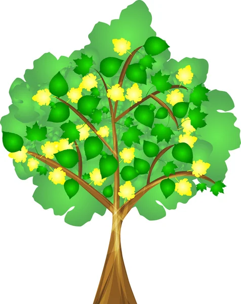 Arbre de printemps aux feuilles colorées — Image vectorielle
