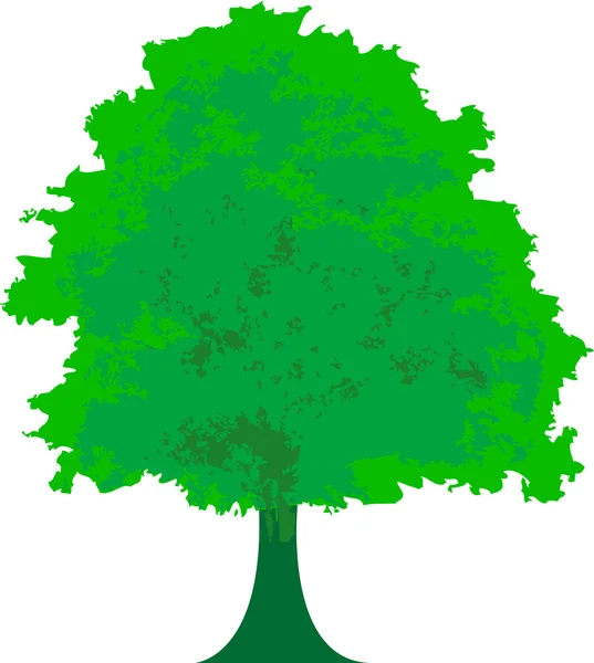 Зеленое дерево - векторная иллюстрация — стоковый вектор