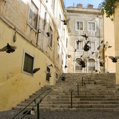 Street of Lisbon clipart