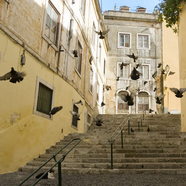 stock image Street of Lisbon