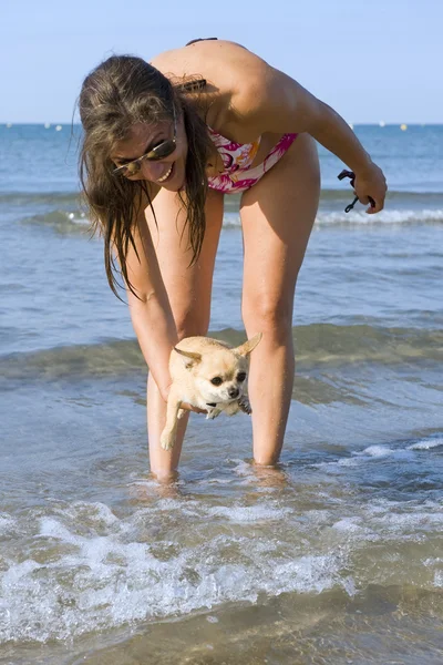 Chihuahua i dziewczyny na plaży — Zdjęcie stockowe