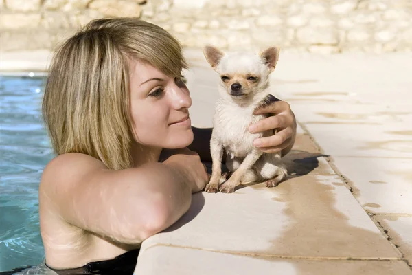 Chihuahua e menina na piscina — Fotografia de Stock
