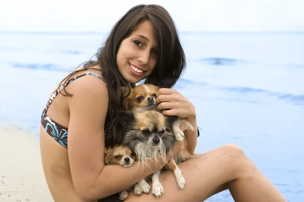 Chihuahuas и девушка на пляже — стоковое фото
