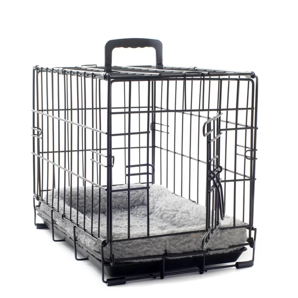 stock image Pet carrier with cushion