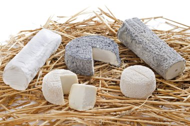 Goat cheeses clipart